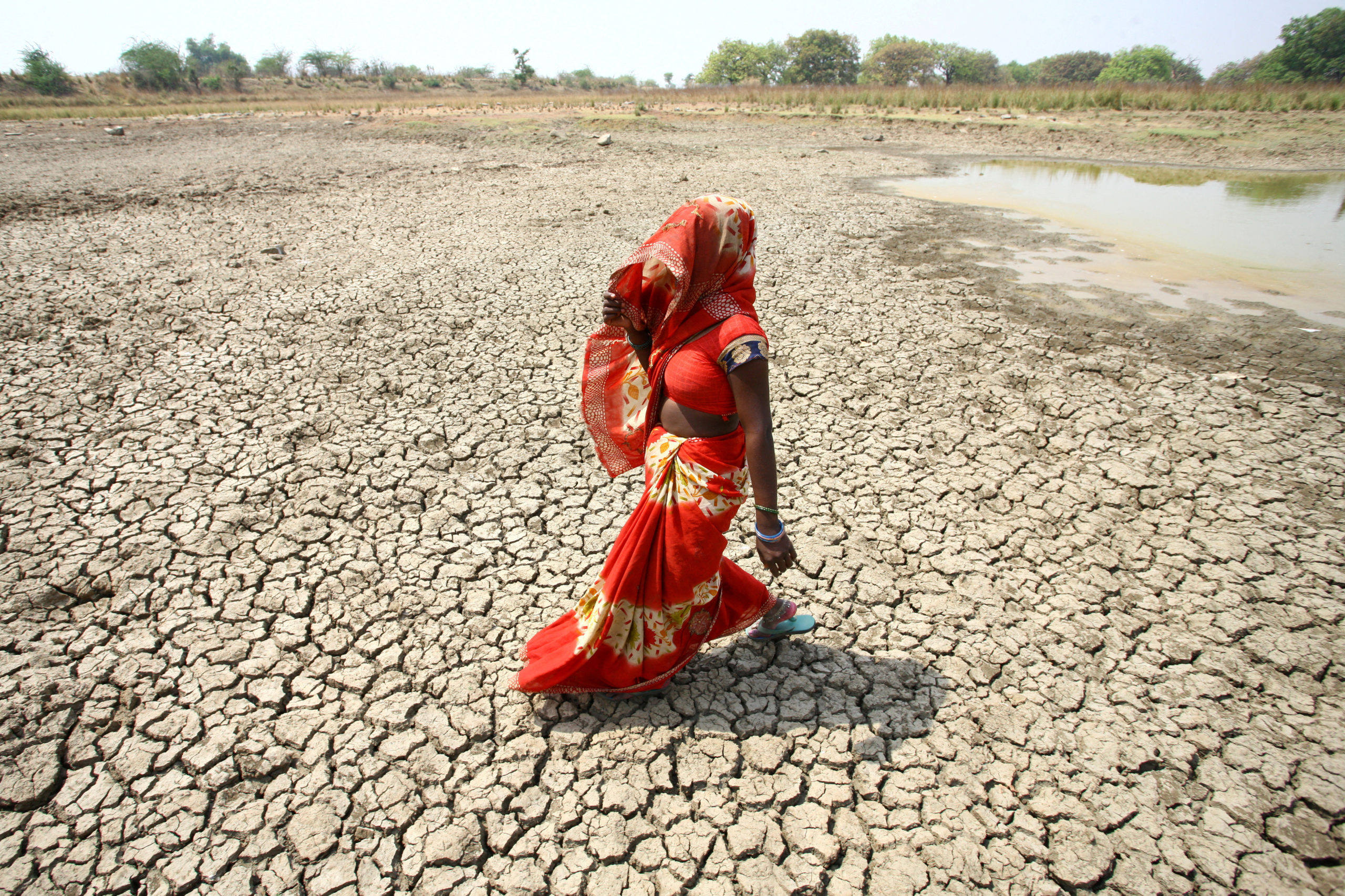 FILE PHOTO: A woman walks on the bottom of a dried pond on a hot day in Mauharia village