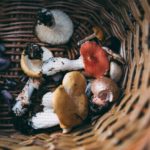 annie-spratt-p7h0wkbtAQ0-unsplash