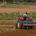 43159737331_21bc79aa39_k