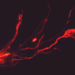 A satellite image shows lava flowing from Hawaii's Mauna Loa Volcano in Hawaii