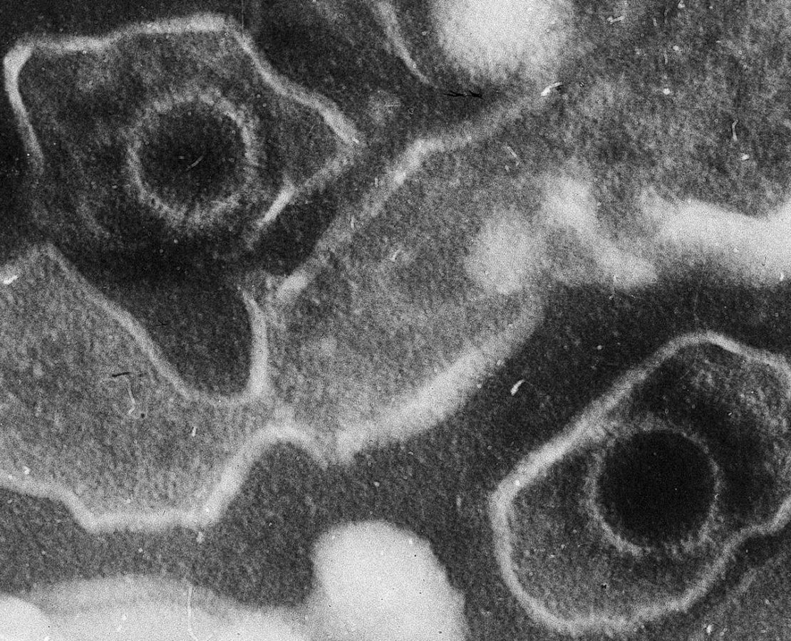 ms research The Wire Science