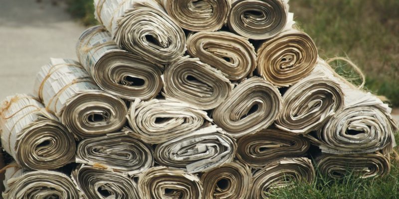 How Can Journalists Counter the 'Dictators' Handbook'? - Vimarsana News