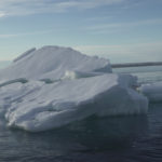 FILE PHOTO: Pieces of floating ice with polar bear footprints on them are seen from the Greenpeace's Arctic Sunrise ship at the Arctic Ocean