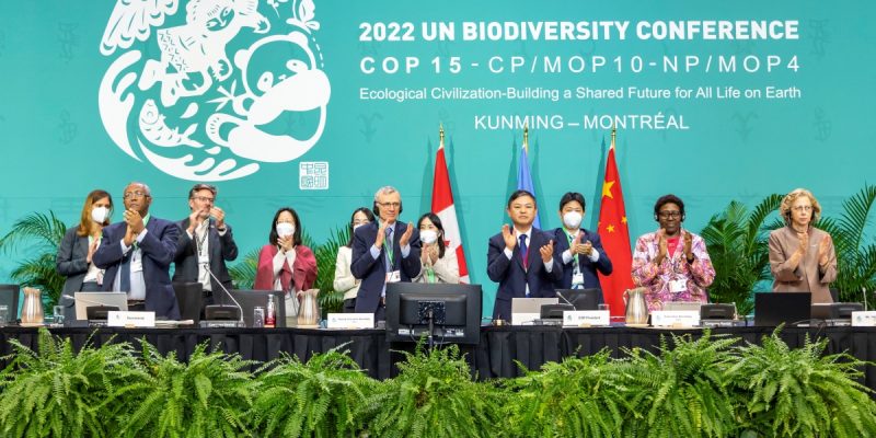 UN-Backed COP15 Approves Landmark Global Deal To Protect Nature - Vimarsana News
