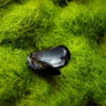 FILE PHOTO: An open mussel shell in the west of Norway