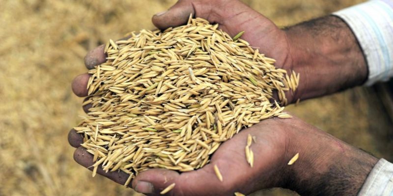 Documents Reveal NITI Aayog Pushed Govt to Privatise PDS, Slash Free Food Coverage, Subsidies - Vimarsana News