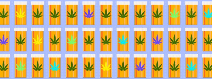 Scientific Highs and Lows of Cannabinoids – The Wire Science - Vimarsana News