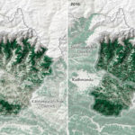 nepaltreecoverzoom_2016