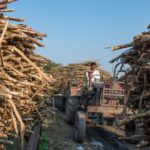 sugarcane-farmer-in-a-queue-waiting-to-sell_Alamy_2HM25XN-1800x1201