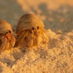 thomas-lipke-NgdpjFe7xzA-unsplash