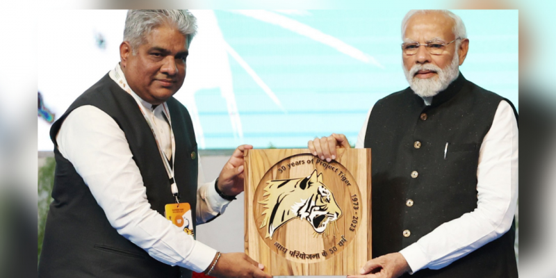 India's Tiger Population Rises to 3,167, Reveals Latest Census Data - Vimarsana News