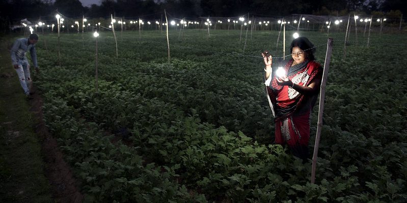 Almost 70% of Marginal Farmers Need to Supplement Income With Non-Farm Activities: Report - Vimarsana News
