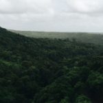 rhema-kallianpur-t0GpJ2cdJuo-unsplash