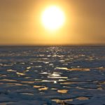 file-20230605-19-ykkaxt
