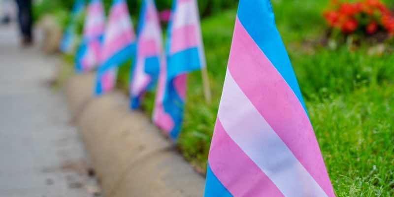 Navigating Trans Healthcare Through a Laboratory of Biases and Barriers - Vimarsana News