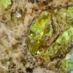Erg_Chech_002_—_5x_Macro_-2_(50866963572)