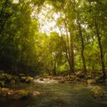 subhadeep-dishant-tn6hRJXd4cE-unsplash
