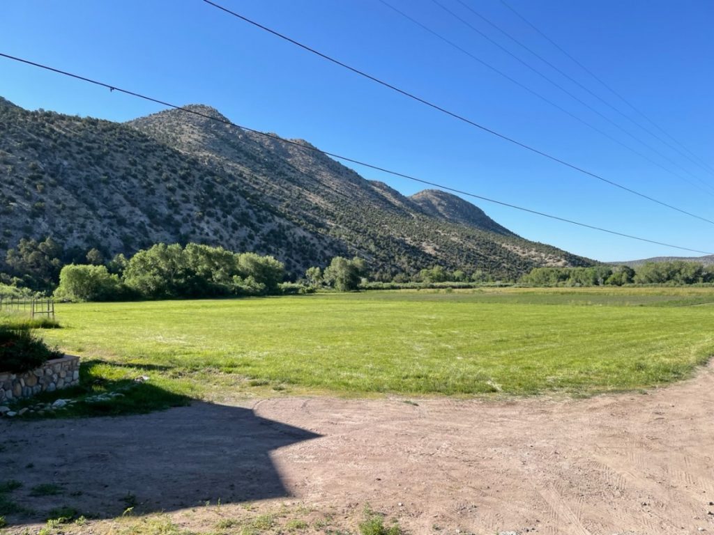 A Woman Who Built an Oasis in the New Mexico Desert