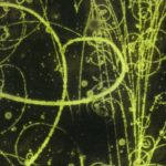 188986847_d048d5a1d7_k
